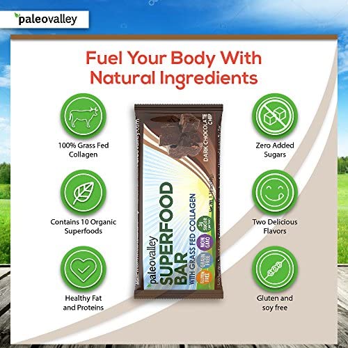 Paleovalley: Superfood Bars with Grass Fed Bone Broth Protein - Dark Chocolate Chip - 12 Bars - All Organic Ingredients with 10 Antioxidant-Rich Superfoods - No Gluten, Grains, Soy or Added Sugar