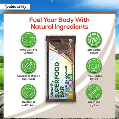 Paleovalley: Superfood Bars with Grass Fed Bone Broth Protein - Dark Chocolate Chip - 12 Bars - All Organic Ingredients with 10 Antioxidant-Rich Superfoods - No Gluten, Grains, Soy or Added Sugar