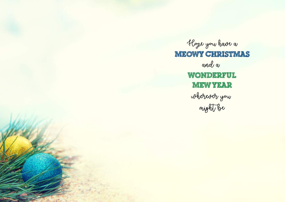 Performing Arts Luxury Funny Cat Holiday Cards with Non-Flake Glitter - Boxed set of 14 Xmas Greeting Cards with Envelopes - Santa Hat Cat design for cats lovers, featuring a beach theme - Made in USA