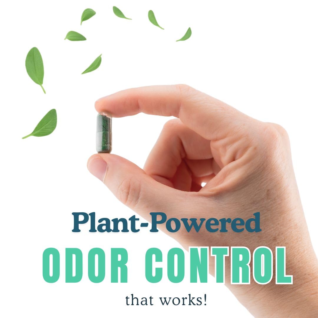 DeoCaps Whole Body Deodorizing Supplement - 100% Natural Internal Deodorant + Sweat Relief - Body Odor Pills Reduce Odor In Underarms, Intimate Areas & Feet - Body Deodorant Capsules - 60 Capsules