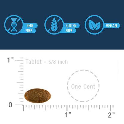 Advanced Bionutritionals Advanced Memory Formula, Brain Booster Supplement for Memory and Focus, Acetylcholine, Alpha-GPC, NeuroFactor, Manufactured in The USA, 60 Tablets