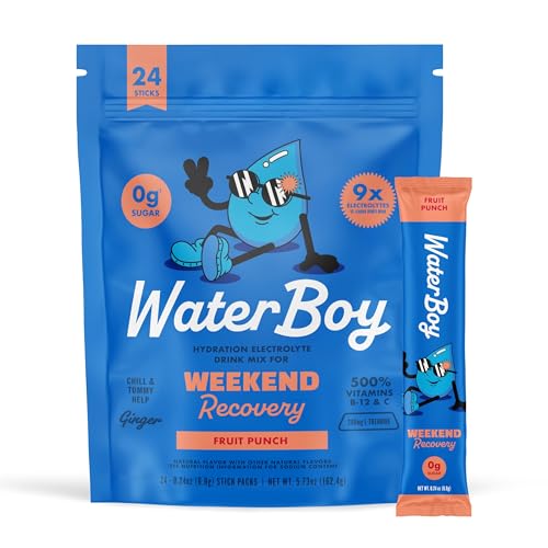Waterboy Weekend Recovery | 3,200mg Electrolyte Powder Packets | Ginger + L-Theanine + Vitamins | No Sugar, All Natural, Gluten Free | 24 Drink Stick Mixes (Fruit Punch)