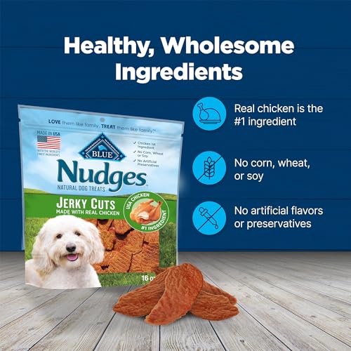 Blue Buffalo Nudges Jerky Bites Dog Treats, Made in the USA with Natural Ingredients, Bite-Sized Pieces, Chicken, 16-oz Bag