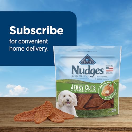 Blue Buffalo Nudges Jerky Bites Dog Treats, Made in the USA with Natural Ingredients, Bite-Sized Pieces, Chicken, 16-oz Bag