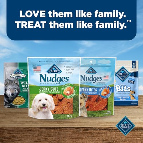 Blue Buffalo Nudges Jerky Bites Dog Treats, Made in the USA with Natural Ingredients, Bite-Sized Pieces, Chicken, 16-oz Bag