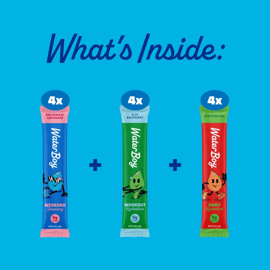 Waterboy Hydration Recovery Variety | 4-9x Electrolyte Powder Packets | Ginger + L-Theanine + L-Glutamine + Vitamins | No Sugar, All Natural, Gluten Free | 12 Drink Stick Mixes (Variety Pack)