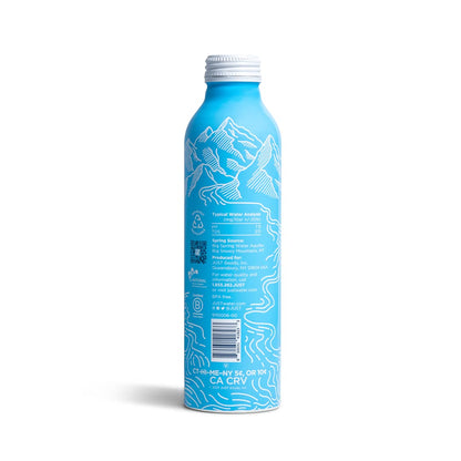 JUST Water, Premium Pure Still Spring Water in an infinitely recyclable aluminum bottle- Naturally Alkaline, High 8.0 pH - Fully Recyclable canned water, 22 Fl Oz (Pack of 12)