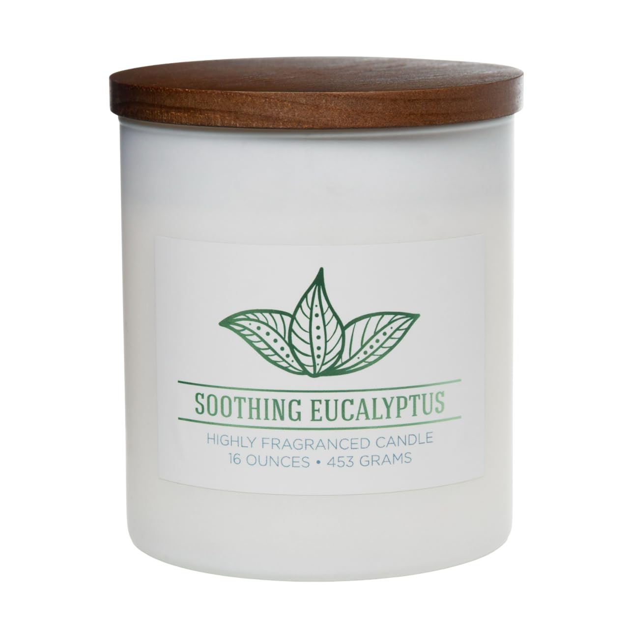 Carolina Soothing Eucalyptus Scented Candle, 16 oz Wellness Relaxing Aromatherapy Candle, 2 Wick White Jar Soy Blend Wax, Candles for Home, 60H Burn - Made in The USA