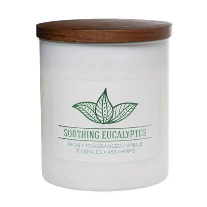 Carolina Soothing Eucalyptus Scented Candle, 16 oz Wellness Relaxing Aromatherapy Candle, 2 Wick White Jar Soy Blend Wax, Candles for Home, 60H Burn - Made in The USA