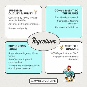 Mycelium Small Hookbill Feed (5 LBS) | Organic, Non‑GMO Bird Food for Cockatiels, Conures & Lovebirds | Filler‑Free with Hulled Seeds | Daily Energy, Skin & Feather Support | Made in USA