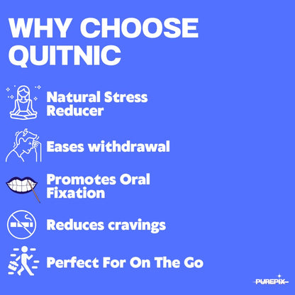 Quit-NIC Infused Cinnamon Flavored Toothpicks – Nicotine-Free, Non-GMO, Kosher, Vegan, 20 Count (Pack of 3) – Extra-Strong Cinnamon Toothpicks for Adults to Help Quit Smoking
