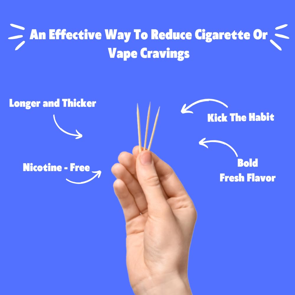Quit-NIC Infused Flavored Toothpicks - Nicotine Free, Non-GMO Kosher Vegan Variety Pack, 20 Count (Pack of 4) - Flavored Toothpicks for Adults to Help Quit Smoking and Quit-NIC