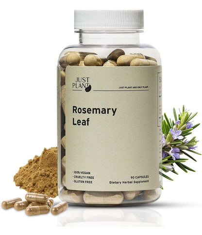 Rosemary Leaf Extract 500mg, 90 Vegan Capsules, Herbal Supplement for Memory, Focus, Digestion, Inflammation & Hair Health, Gluten-Free, Plant-Based