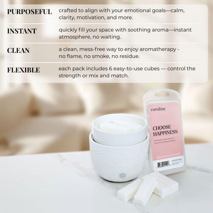 Carolina Choose Happiness Scented Wellness Wax Melts, Wax Melt Warmer Cubes, Long Lasting Scented Wax Warmer Cubes, 4 Pack, 6 Cubes Each - Made in The USA