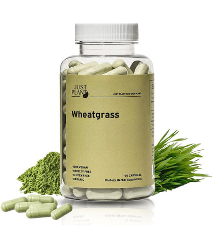 Organic Wheatgrass Capsules 500 mg, 90 Capsules | Vegan, Gluten-Free | Green Superfood Supplement for Detox, Energy, Digestion & Immune Support