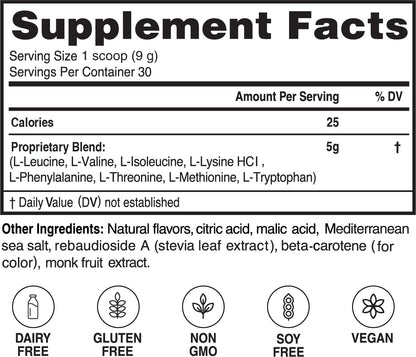 Advanced Bionutritionals – Advanced Amino Powder, Amino Acid Supplement, Build Muscle, Post Workout Recovery, Energy,Non-GMO, Gluten Free, Dairy Free, Vegan (30 Servings) (9.52oz, Citrus Zest)