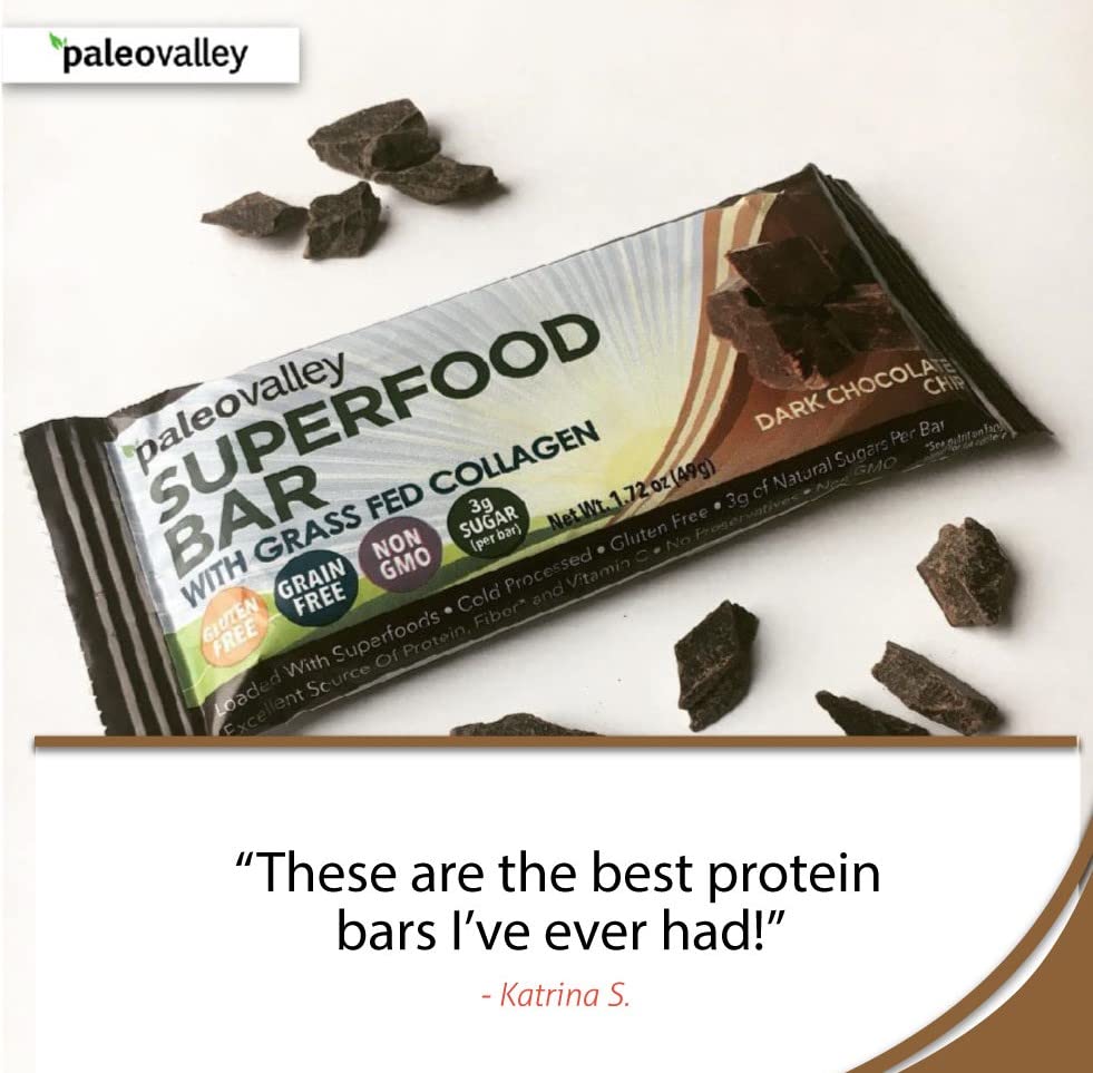 Paleovalley: Superfood Bars with Grass Fed Bone Broth Protein - Dark Chocolate Chip - 12 Bars - All Organic Ingredients with 10 Antioxidant-Rich Superfoods - No Gluten, Grains, Soy or Added Sugar