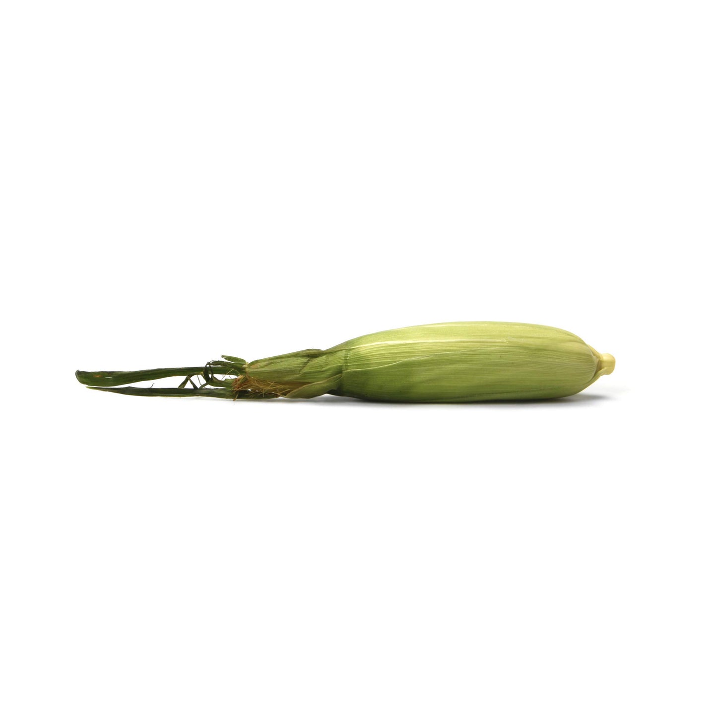 Sweet Corn, 1 Ear