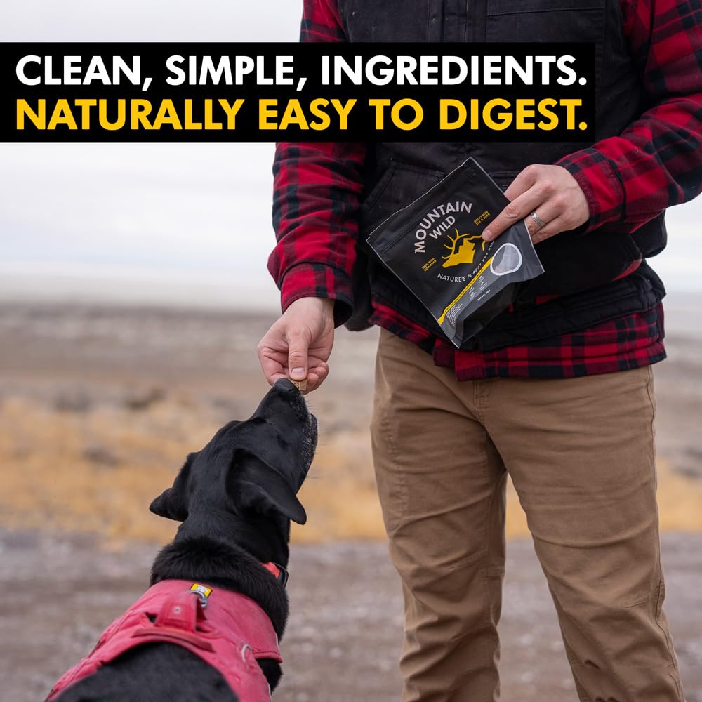 MOUNTAIN WILD Venison Jerky Training Treats for Dogs – Elk & Deer Meat Protein Dog Treat High-Value Reward – All-Natural, No Fillers, Grain-Free, No Preservatives – 8 oz (1 Pack)