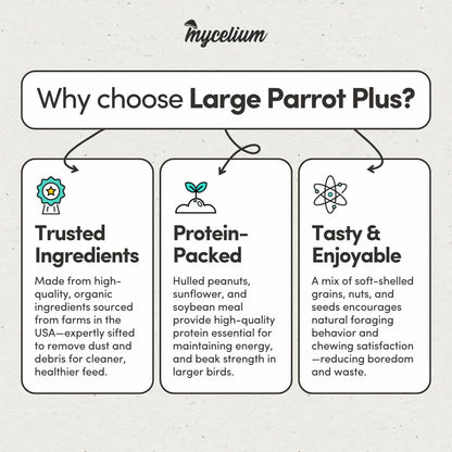 Mycelium Organic Large Parrot Plus Bird Food (5 LBS) | Premium Bird Seed for Macaws, Cockatoos & Parrots | High-Protein, Vitamin-Fortified, Skin & Feather Support | Non-GMO, USA Made, No Fillers
