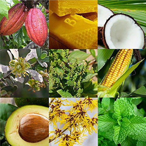 Stinkbug Natural Organic Goats Milk Soap With Grapefruit, Natural Ingredient, 4 Ounce Pack of 1