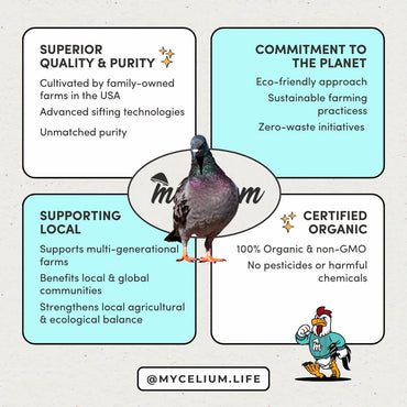Mycelium Organic Pigeon Feed (5 LB Bag) | Complete Wild Bird Food for Energy & Daily Nutrition | Natural Seed Blend for Ground Feeders | Non-GMO, No Fillers or Additives, Made in USA