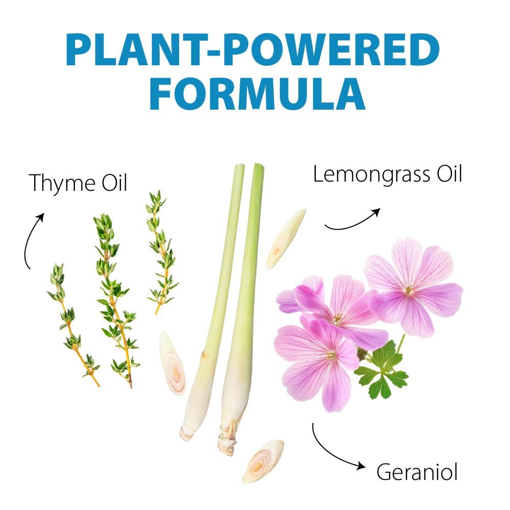 LizzAway Insect Shoo Spray - Insect Repellent Spray - Pet and Kid Safe Ant, Mosquito, and Spider Repellent for Indoor/Outdoor Use - Lemongrass, Thyme, Geraniol Powered Bug Control for Home