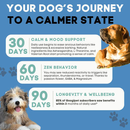 Googipet Daily Hemp Calming Chews for Dogs - Separation Anxiety Relief for Dogs, Non-Drowsy Dog Calming Chews - Anxiety Relief Treats with Valerian Root, & Hemp