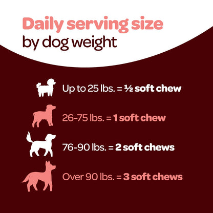 Hip and Joint Chews for Dogs | Dog Glucosamine Chews for Comfort & Mobility with Chondroitin MSM & Turmeric | Dog Joint Supplement for All Ages & Sizes | NASC Certified & Made in The USA | 60 Chews