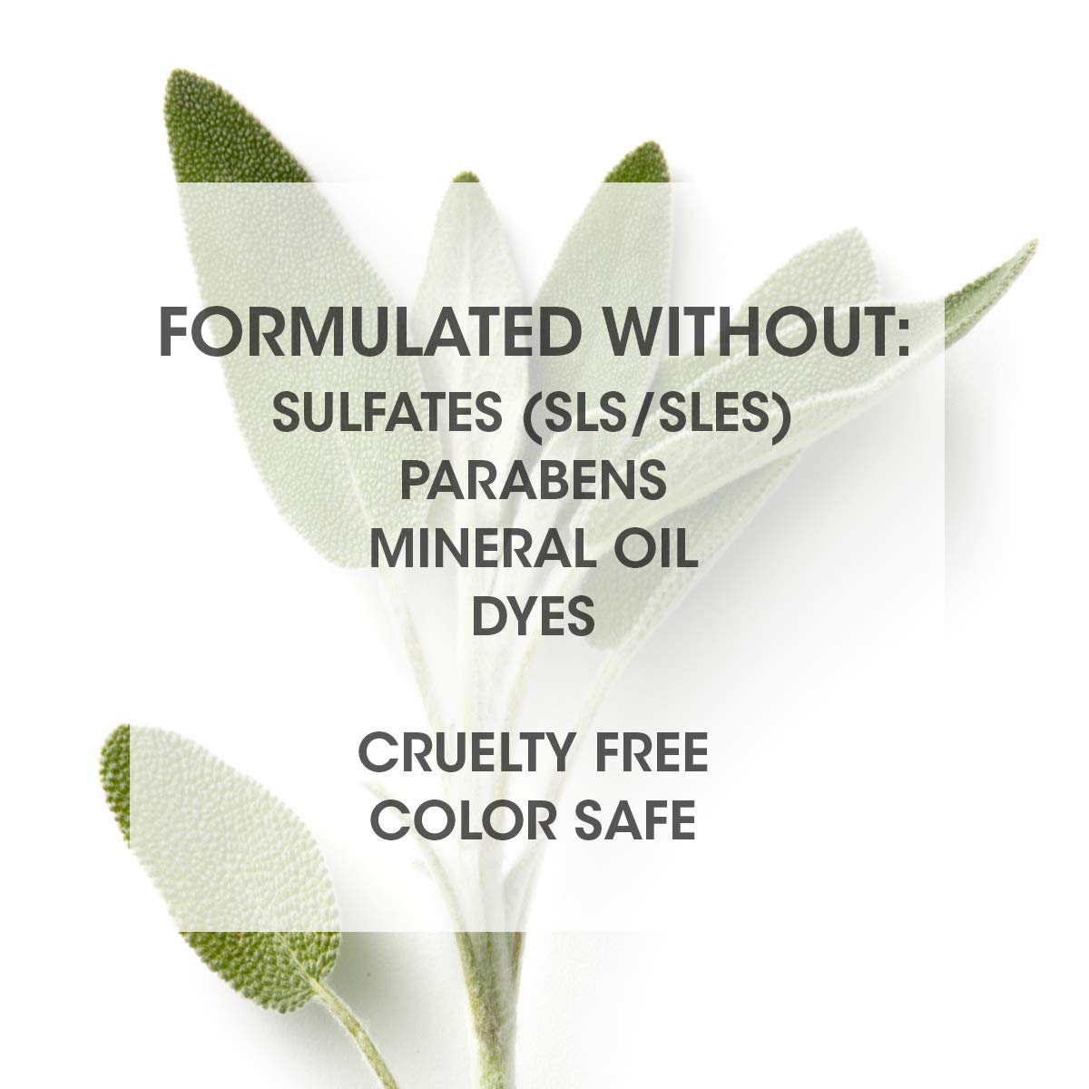 SEVEN Hair Care CUBICA Wave Curl Cream, Anti-Frizz Curl Defining Cream for Curly Hair, Moisturizing Hair Curling Cream for Enhancing Curls with Shea Butter + Argan Oil, Made in USA, 4 oz