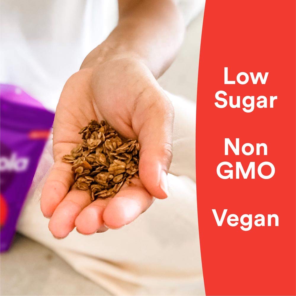 gr8nola CINNAMON CHAI - Healthy, Low Sugar, Vegan Bulk Granola Cereal - Made with Superfoods Cinnamon, Ginger and Cardamom, Soy Free, Dairy Free and No Refined Sugar - 4.5lb Resealable Bag