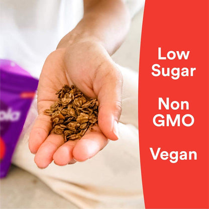 gr8nola CINNAMON CHAI - Healthy, Low Sugar, Vegan Granola Cereal - Made with Superfoods Cinnamon, Ginger and Cardamom, Soy Free, Dairy Free and No Refined Sugar - 10oz Resealable Bag