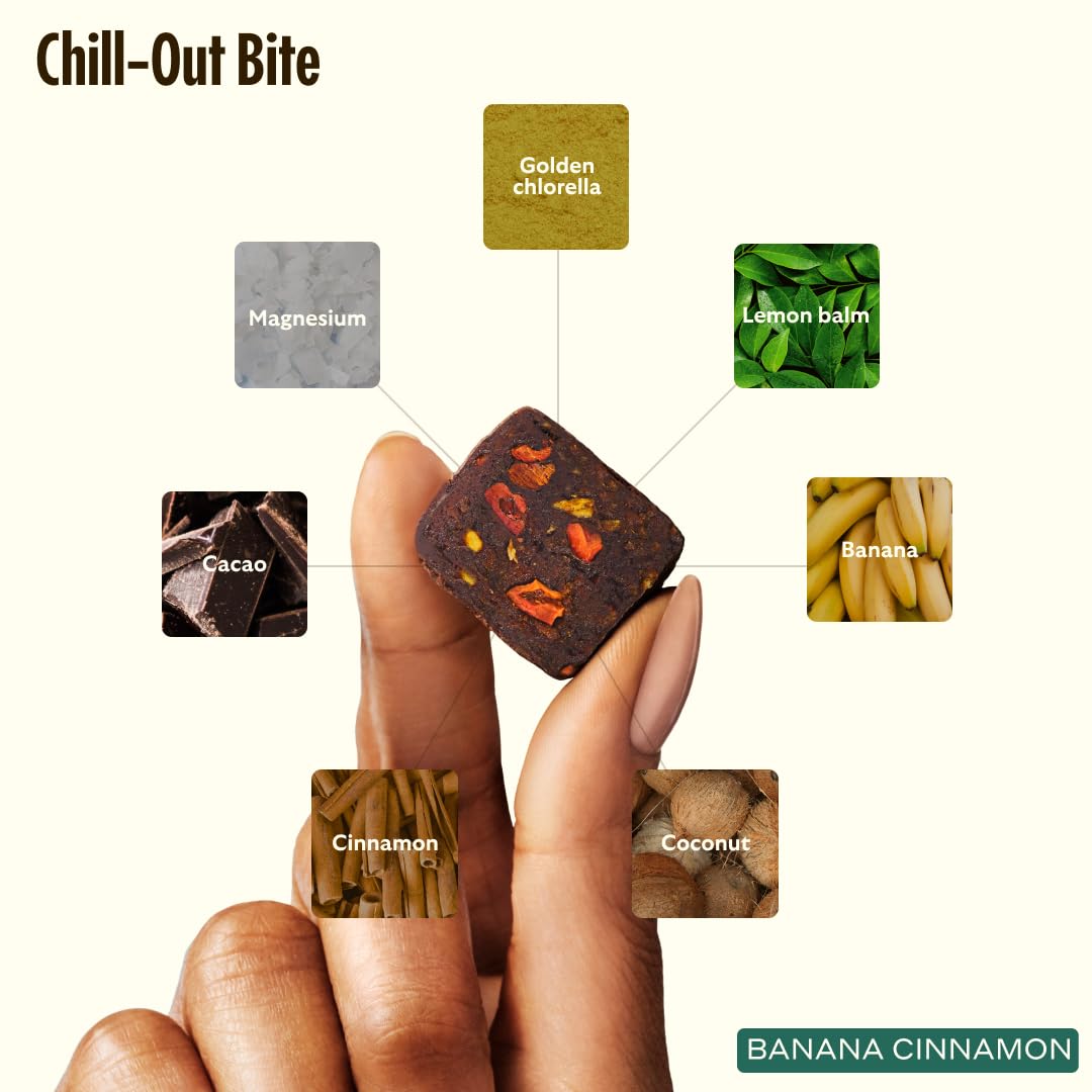 GEM Cognition Bundle - Natural Brain Health Supplement for Focus, Memory, Stress Support & Relaxation | with B-Vitamins, Magnesium, Turmeric & Adaptogens | Plant-Based Whole Food Vitamins, Vegan