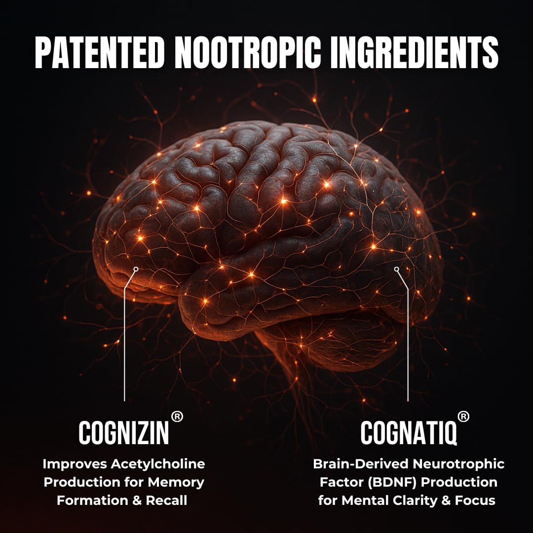Advanced Nootropic Brain Supplement for Energy, Memory, & Focus | Lion's Mane, Caffeine, L-Theanine, and 5 Additional All-Natural Ingredients to Improve Cognitive Health (90 Capsules)