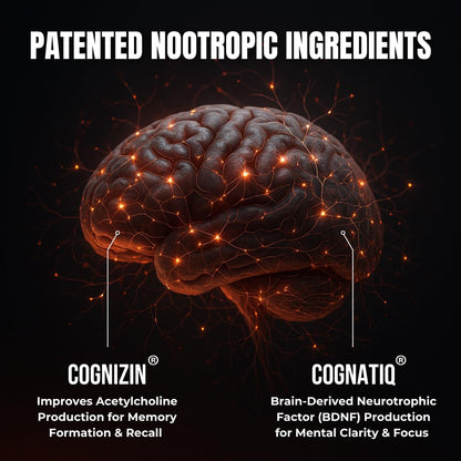 Advanced Nootropic Brain Supplement for Energy, Memory, & Focus | Lion's Mane, Caffeine, L-Theanine, and 5 Additional All-Natural Ingredients to Improve Cognitive Health (90 Capsules)