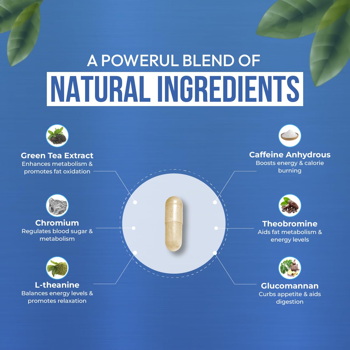 Dr Vitz Weight Loss Pills for Women – Fat Burner & Appetite Suppressant – Metabolism Booster with Chromium, Green Tea & Guarana – 30 Capsules – Caffeine Anhydrous for Energy Support