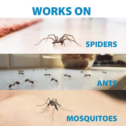 LizzAway Insect Shoo Spray - Insect Repellent Spray - Pet and Kid Safe Ant, Mosquito, and Spider Repellent for Indoor/Outdoor Use - Lemongrass, Thyme, Geraniol Powered Bug Control for Home