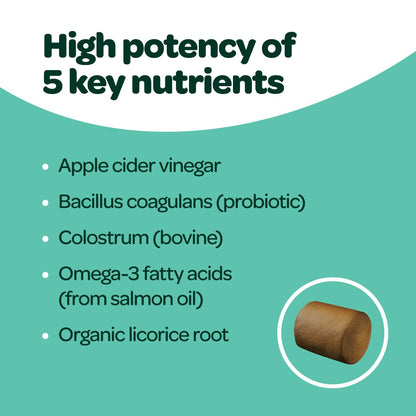 Dog Allergy Chews with Probiotics | Seasonal Allergy Chews for Dogs with Wild Alaskan Salmon Oil & Colostrum | Environmental Dog Allergy Support | NASC Certified & Made in The USA | 60 Chews