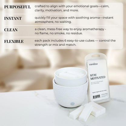 Carolina Stay Motivated Scented Wellness Wax Melts, Wax Melt Warmer Cubes, Long Lasting Scented Wax Warmer Cubes, 4 Pack, 6 Cubes Each - Made in The USA