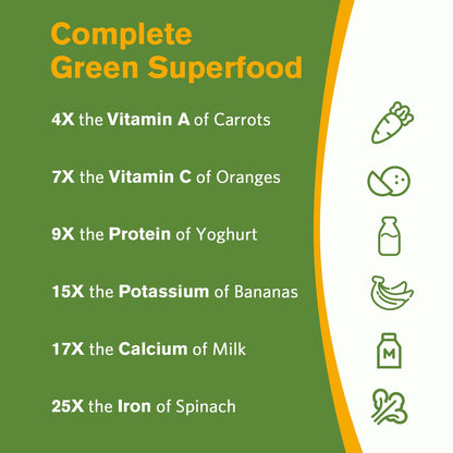 Doctor's Recipes Moringa 11,000 mg Strength, Complete Green Superfood, Natural Antioxidant Support, Non-GMO, 180 Vegan Caps, No Caffeine Soy Gluten