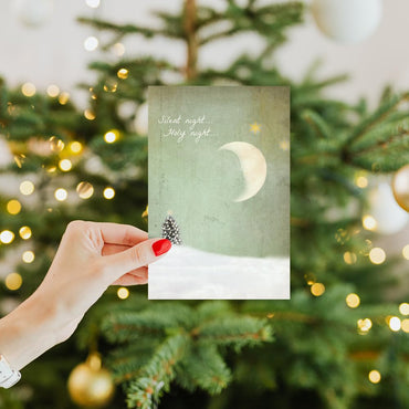 Tree-Free Greetings - Season's Greeting Card - Artful Designs - 12 Cards + White Envelopes - Made in USA - 100% Recycled Paper - 4 x 6 - Holy Night (FS93463)