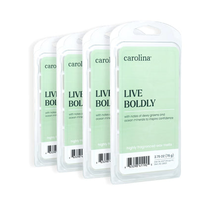 Carolina Live Boldly Scented Wellness Wax Melts, Wax Melt Warmer Cubes, Long Lasting Scented Wax Warmer Cubes, 4 Pack, 6 Cubes Each - Made in The USA