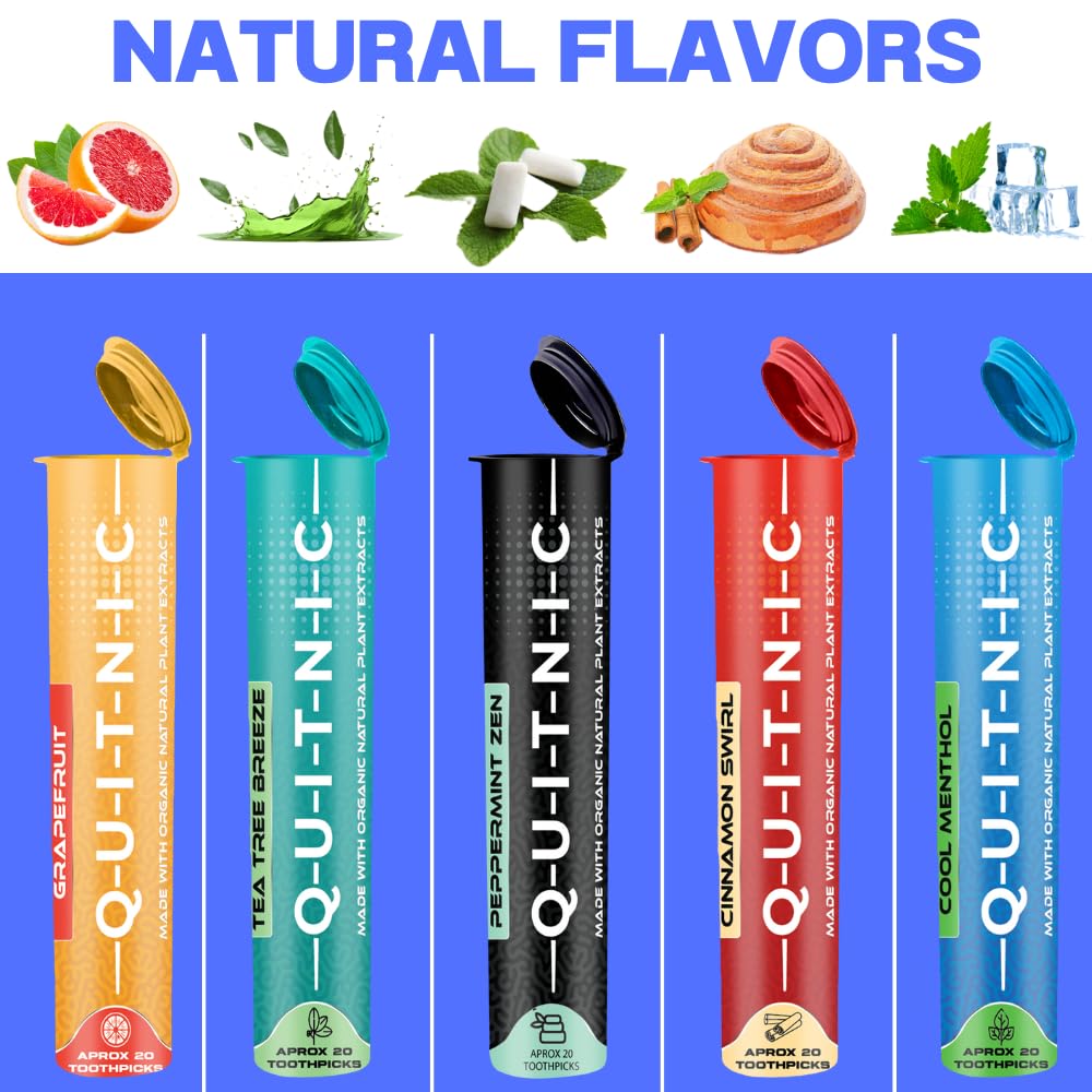 Quit-NIC Infused Flavored Toothpicks - Nicotine Free, Non-GMO Kosher Vegan Variety Pack, 20 Count (Pack of 5) - Flavored Toothpicks for Adults to Help Quit Smoking and Quit-NIC