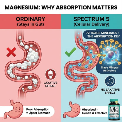 Spectrum 5 Magnesium Complex for Women & Men | Patented Aqua-Ionic® 5X Absorption Technology | 500mg Glycinate, Citrate, Malate + 72 Trace Minerals | Deep Sleep, Leg Cramp Relief & Calm | Non-Laxative