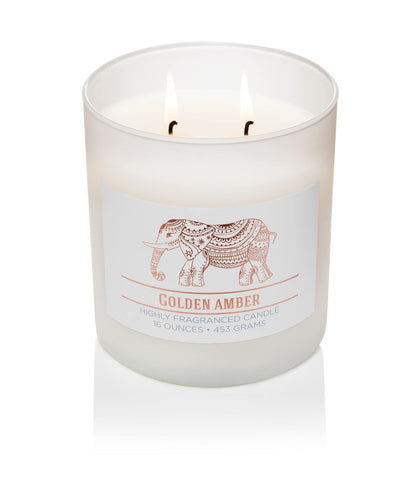 CAROLINA Golden Amber Scented Candle, 16 oz Wellness Relaxing Aromatherapy Candle, 2 Wick White Jar Soy Blend Wax, Candles for Home, 60H Burn - Made in The USA