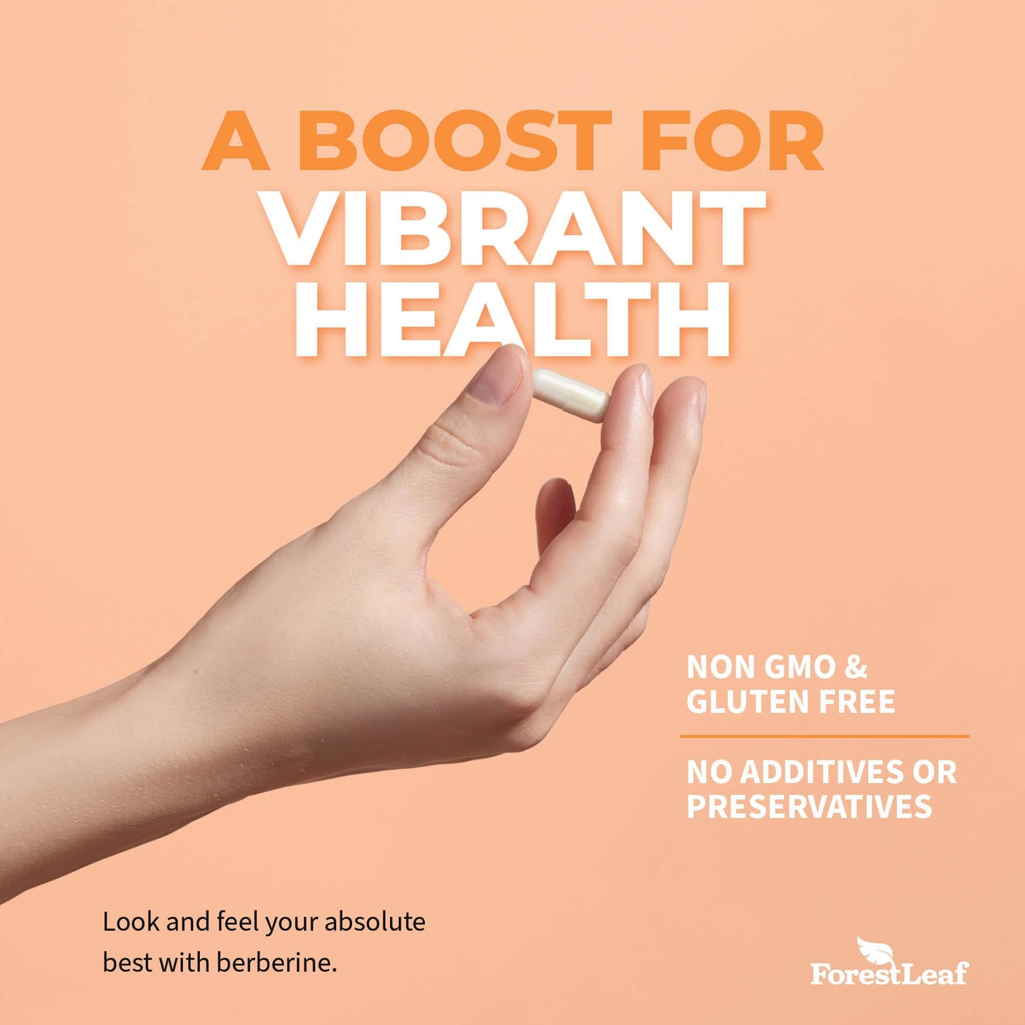 ForestLeaf Advanced Dual Berberine HCl Berberine Supplement 1300mg - 97% Tested Ultra High Potency Berberine with Ceylon Cinnamon, Bitter Melon & Gymnema (90 Count (Pack of 2))