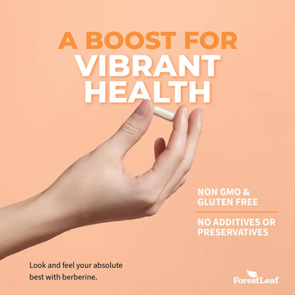 ForestLeaf Advanced Dual Berberine HCl Berberine Supplement 1300mg - 97% Tested Ultra High Potency Berberine with Ceylon Cinnamon, Bitter Melon & Gymnema (90 Count (Pack of 2))