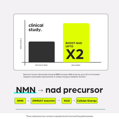 NMN Supplement 8957mg with Real NAD+ Not Just a Booster | Urolithin A, Resveratrol, CoQ10, Alpha Lipoic Acid, Green Tea Extract | Cellular Longevity & Energy Support for Men & Women