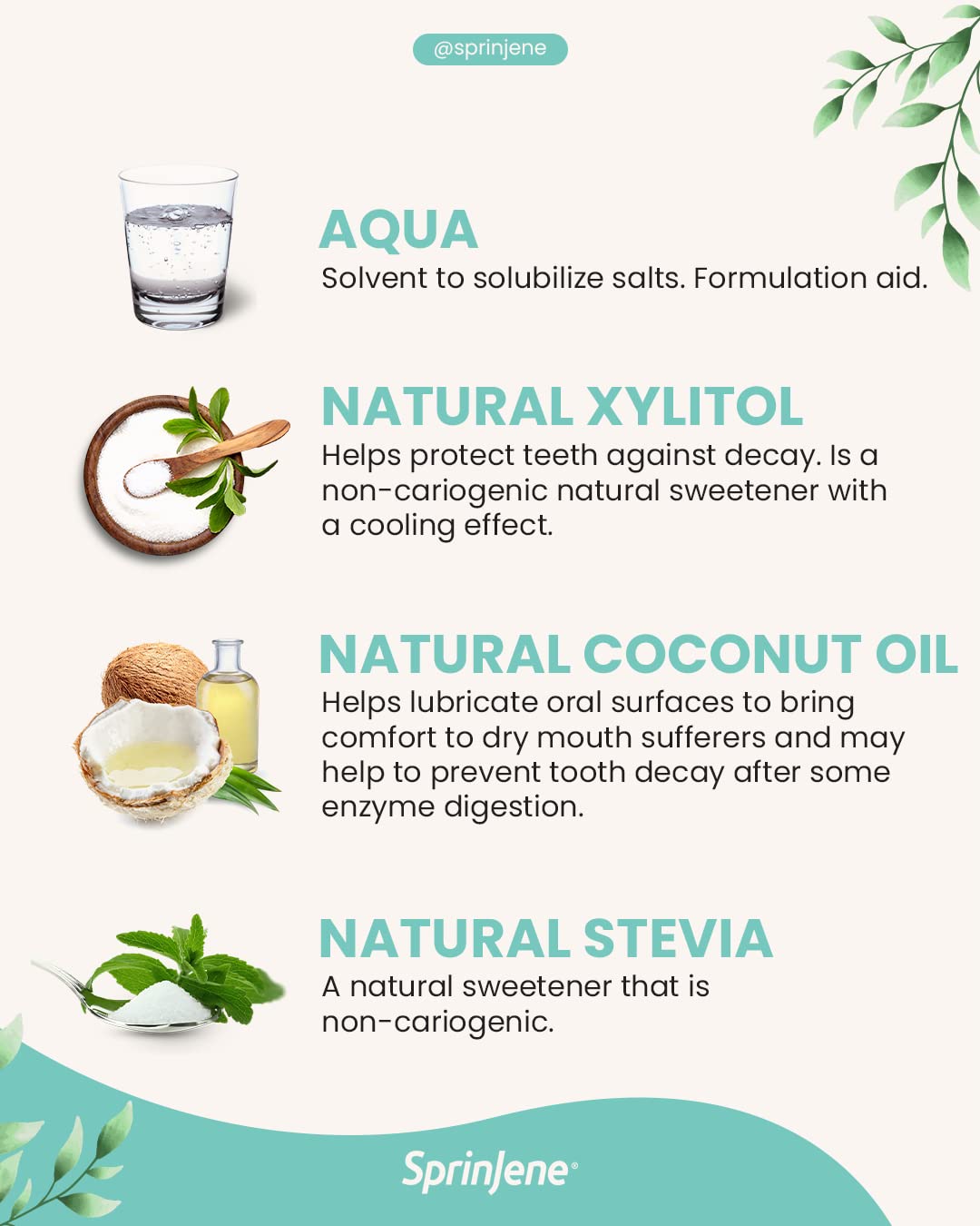 SprinJene Natural Total Care Fluoride Free Toothpaste – Patented Formula with Black Seed Oil & Zinc – Dry Mouth Toothpaste for Fresh Breath & Strong Teeth – Made in The USA (1 Pack)