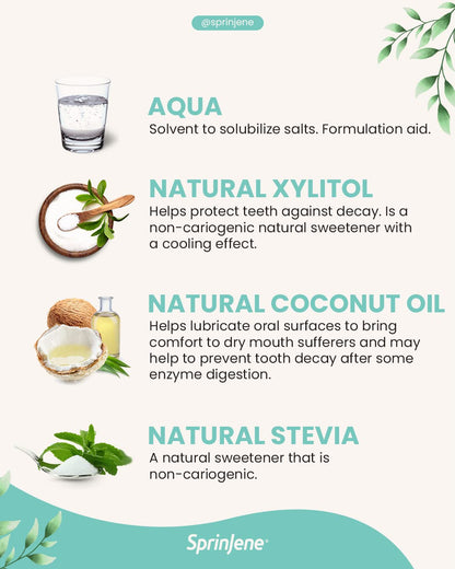 SprinJene Natural Total Care Fluoride Free Toothpaste – Patented Formula with Black Seed Oil & Zinc – Dry Mouth Toothpaste for Fresh Breath & Strong Teeth – Made in The USA (1 Pack)